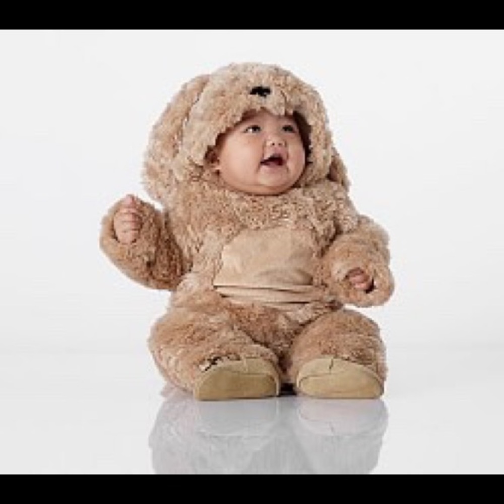 Pottery Barn Puppy Costume